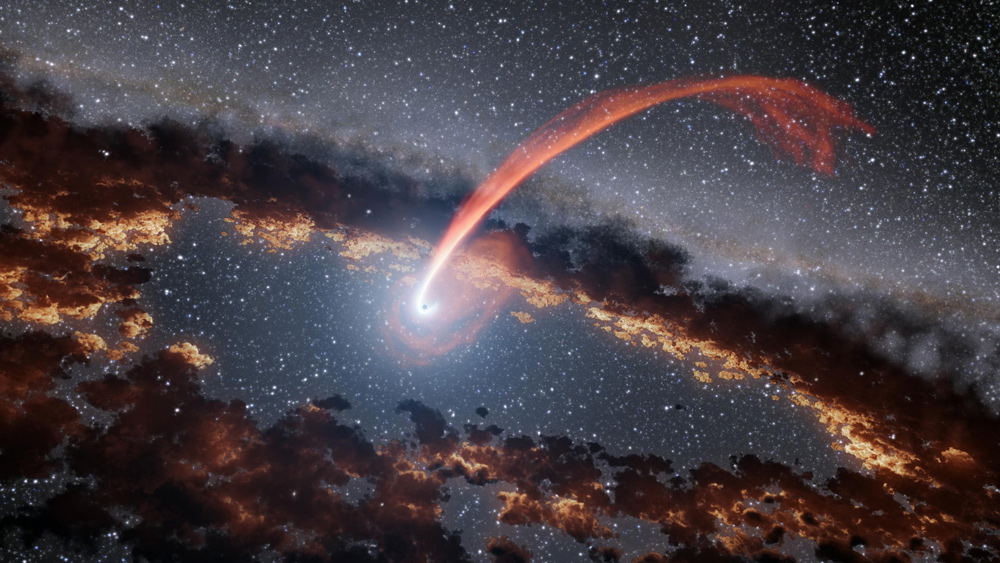 Cosmic 'Echoes' Reveal Stars Devoured by Black Holes